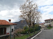 71 Seguendo la stradetta scendiamo al roccolo panoramico